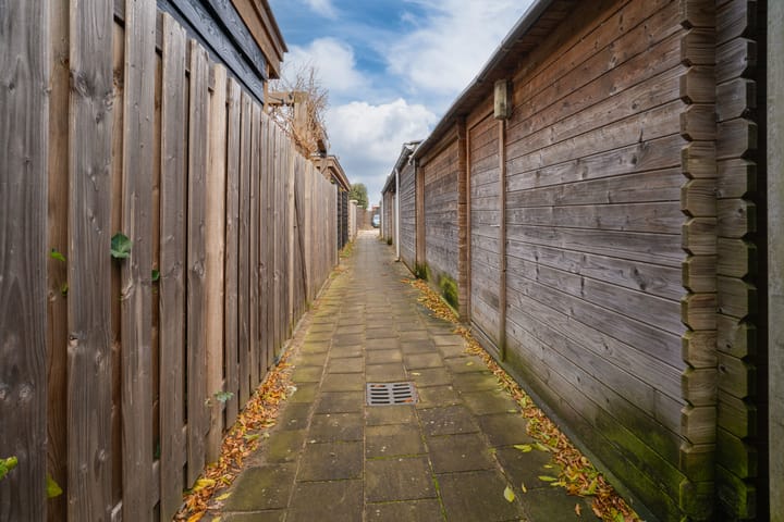 Foto 32 van Vissen 15