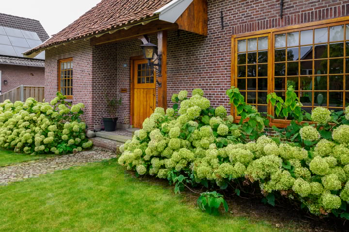 Photo 9 of Oosteinde 196