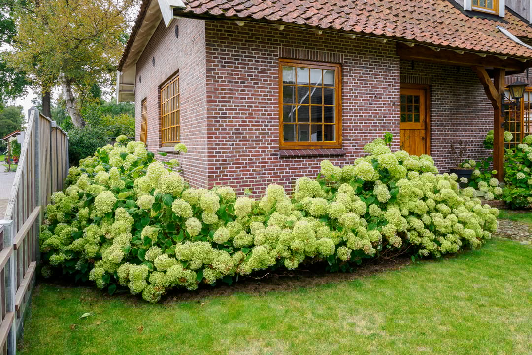 Foto 53 van Oosteinde 196