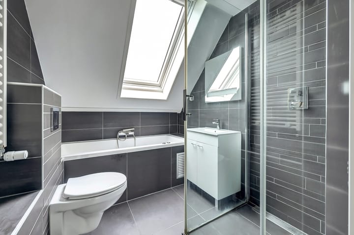 Foto 3 van Karperveen 264