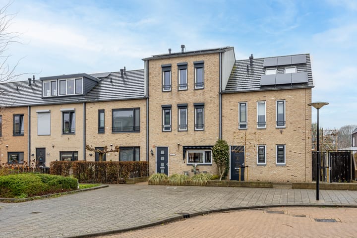 Midgard 55 main image