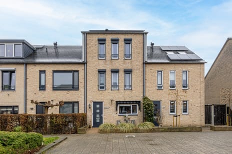 Midgard 55 secondary image