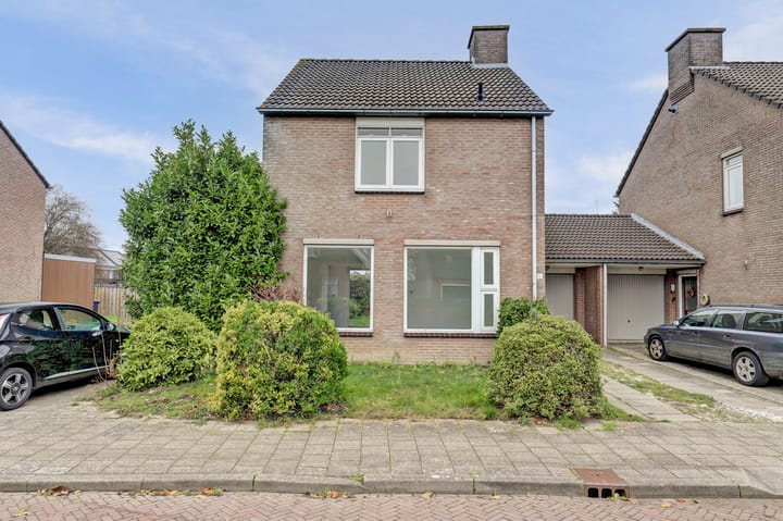 Photo 31 of Marskramer 10