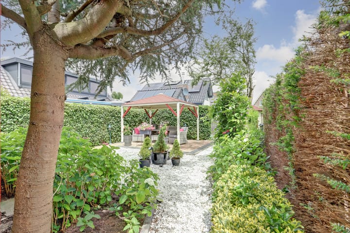 Photo 43 of Ring 38-A