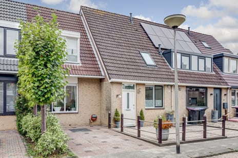 undefined main image