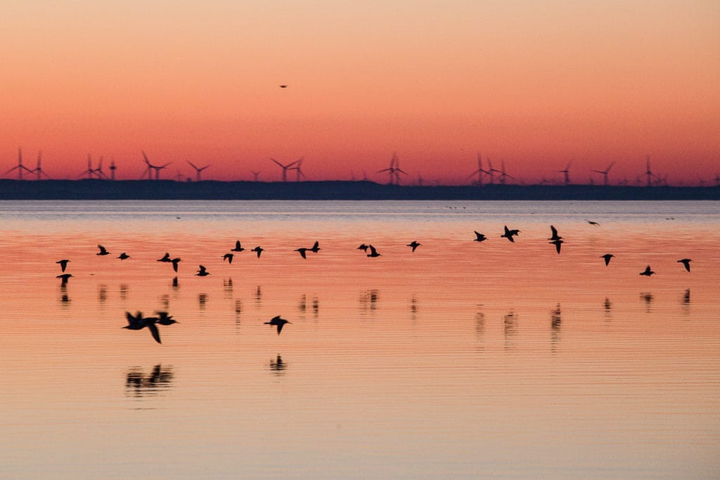 Foto 4 van Emdenmeen 66