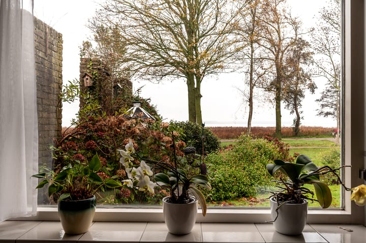 Photo 20 of Emdenmeen 66