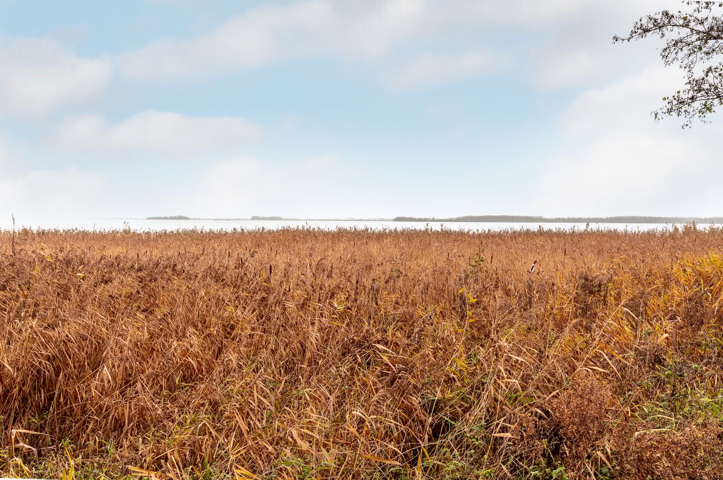 Foto 49 van Emdenmeen 66