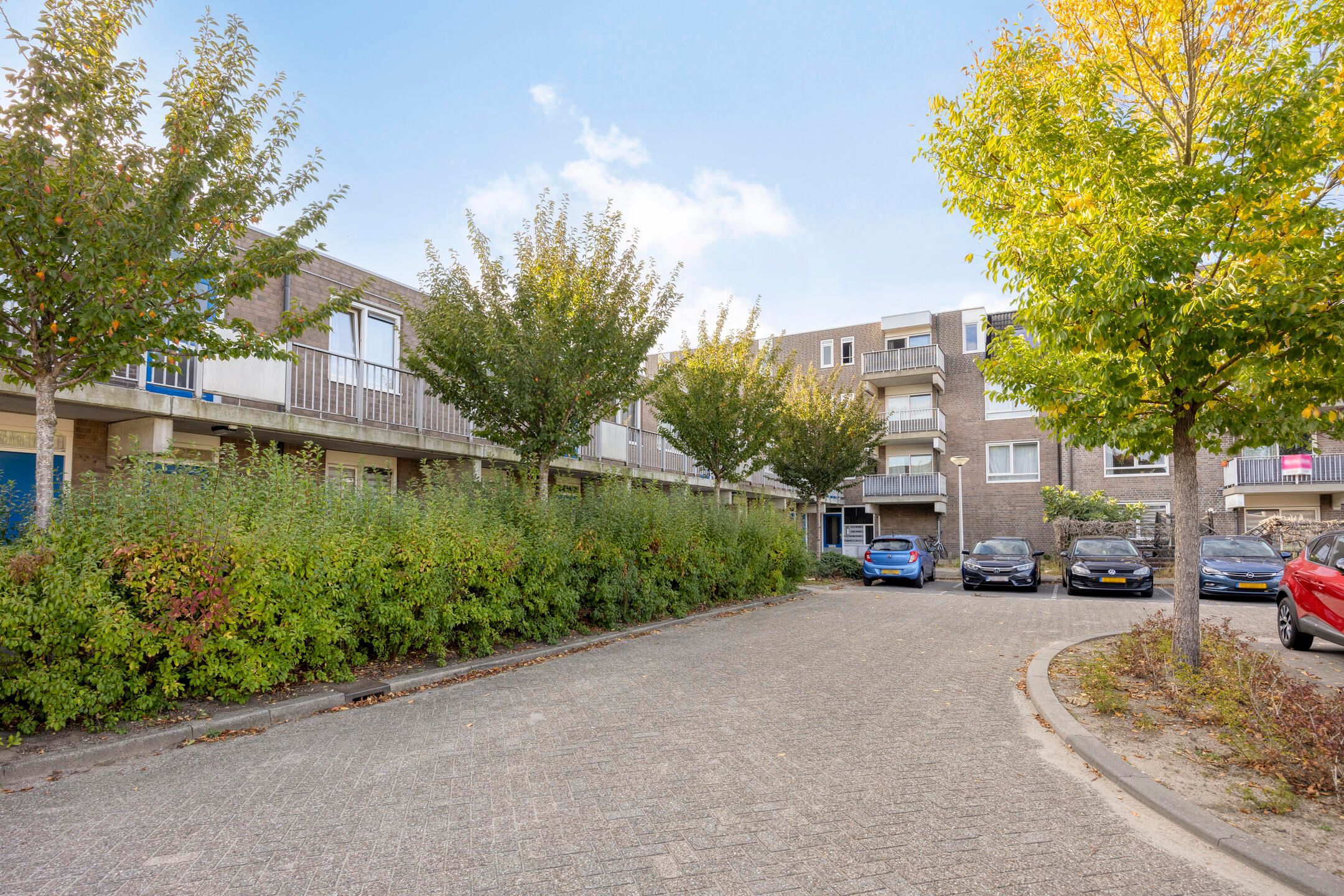 Photo 36 of Kopspoor 83