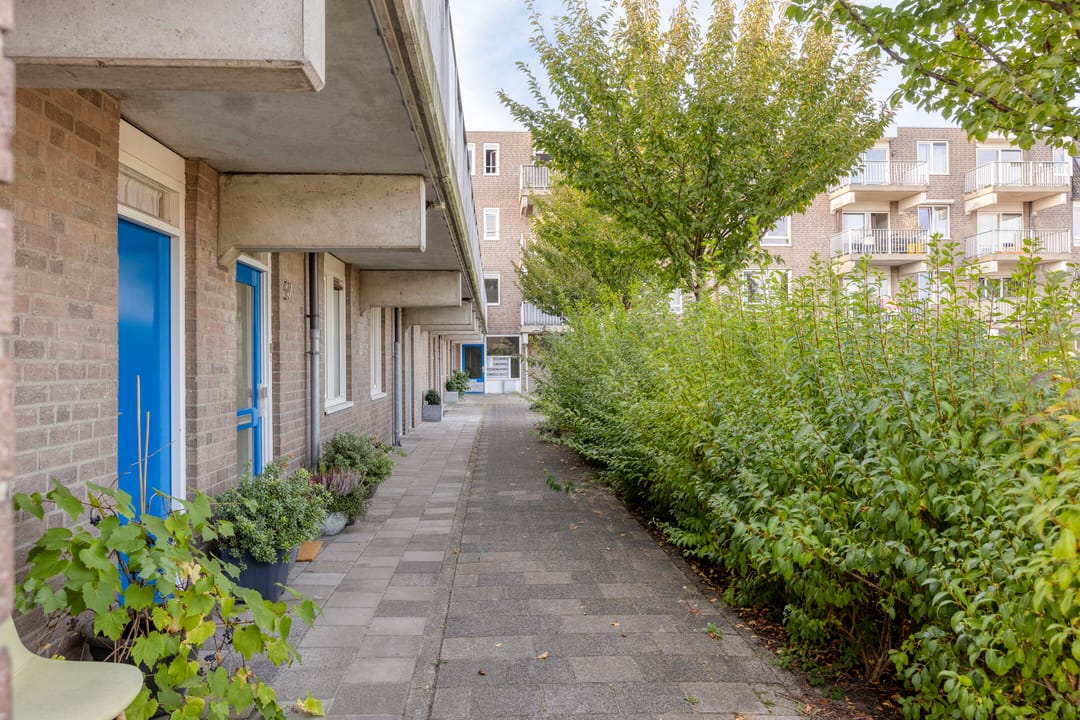 Photo 37 of Kopspoor 83