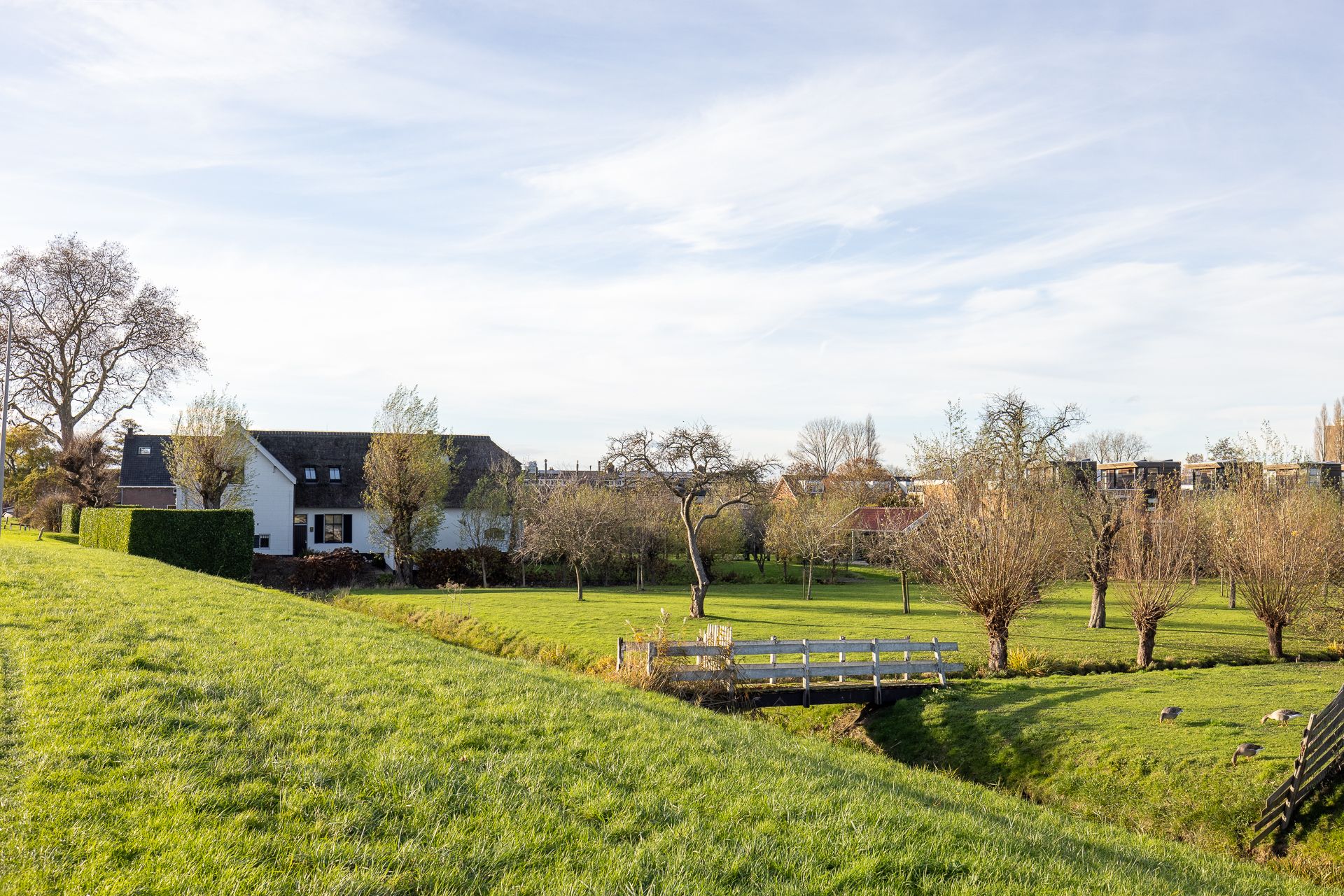 Foto 57 van Nijverheidstraat 297