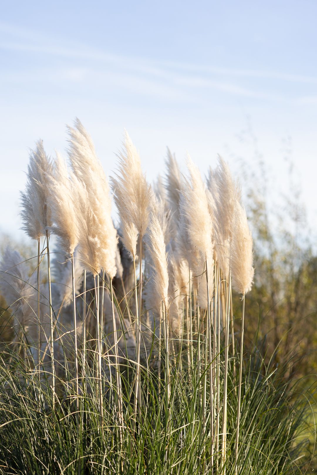 Foto 77 van Nijverheidstraat 297