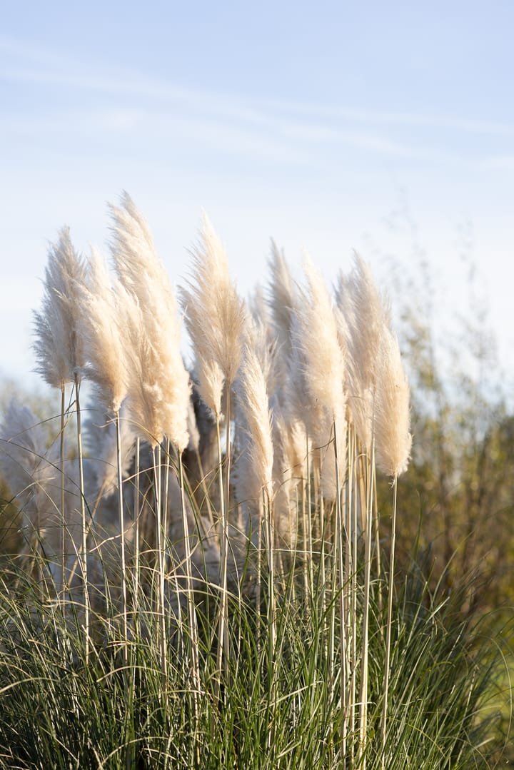 Foto 77 van Nijverheidstraat 297