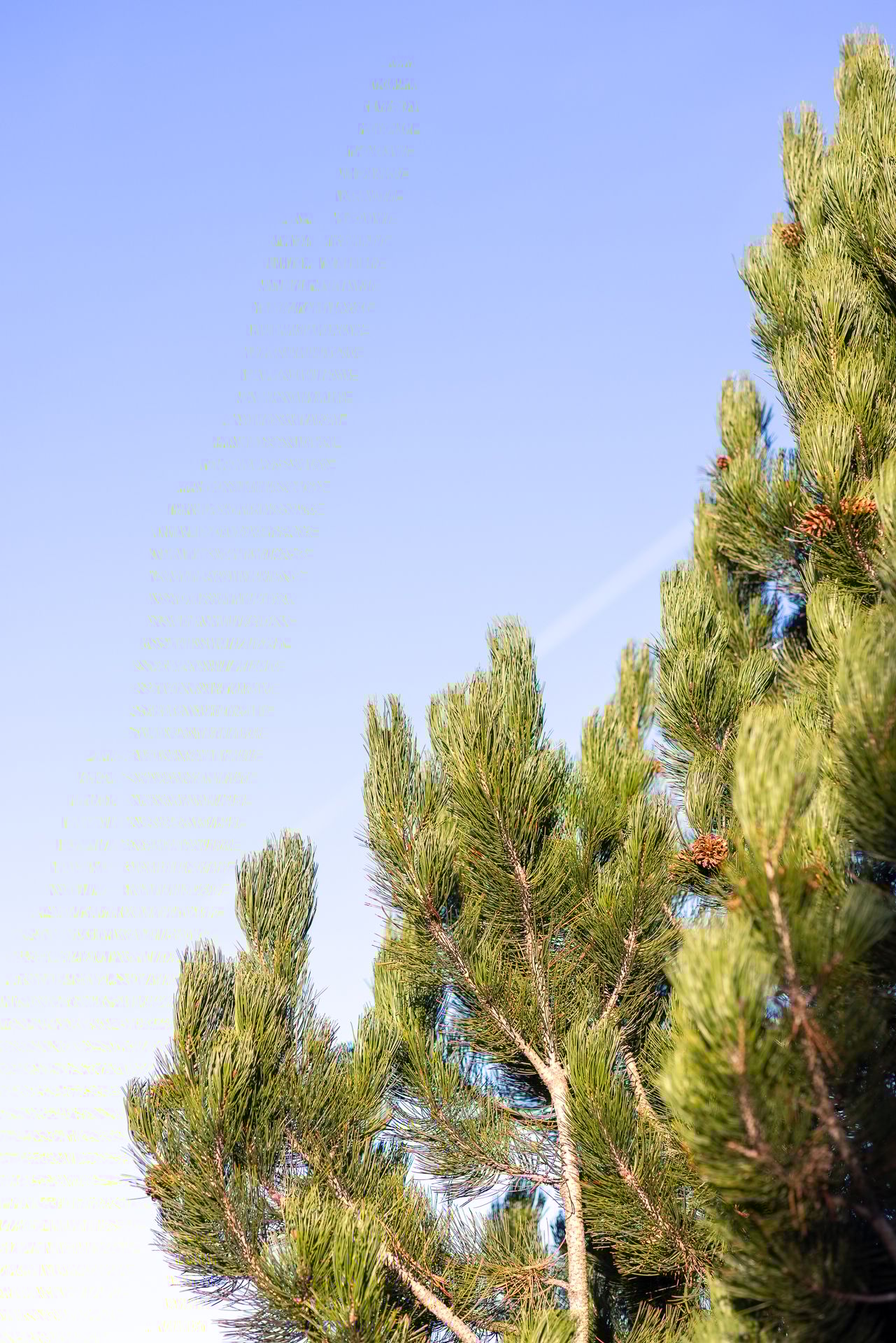 Foto 78 van Nijverheidstraat 297