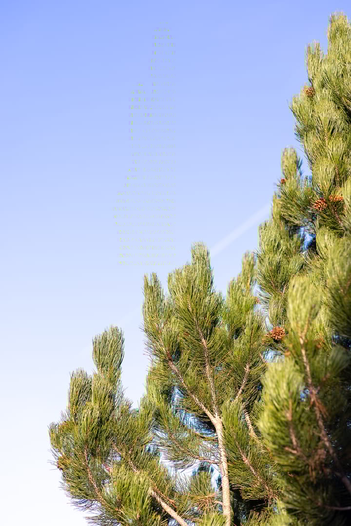 Foto 78 van Nijverheidstraat 297