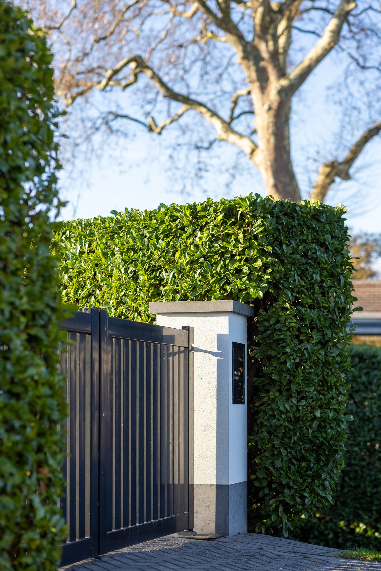 Foto 80 van Nijverheidstraat 297