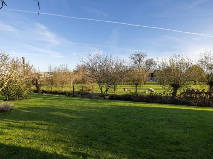 Foto 102 van Nijverheidstraat 297