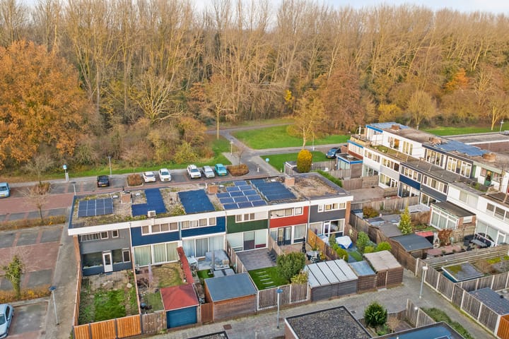 Photo 27 of Vecht 11