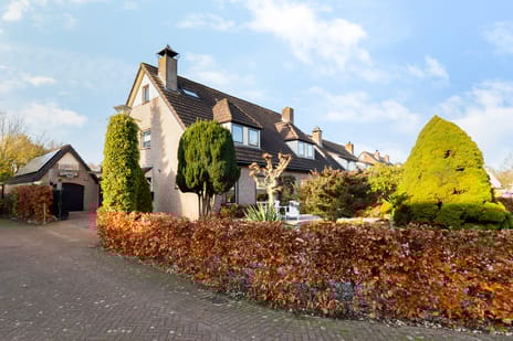 undefined main image