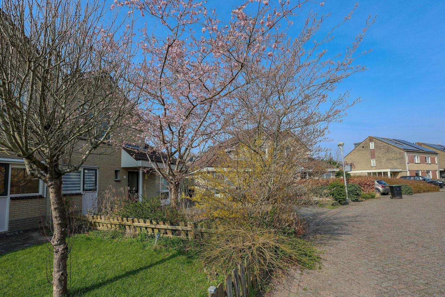 Foto 20 van Joggerspad 11