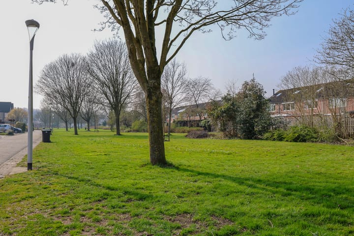 Photo 21 of Joggerspad 11