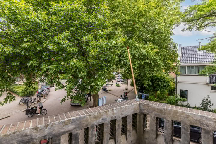 Foto 45 van Sint Liduinastraat 102-B