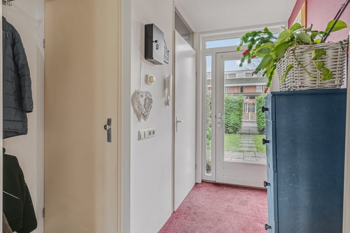 Foto 4 van Donsvlinder 55