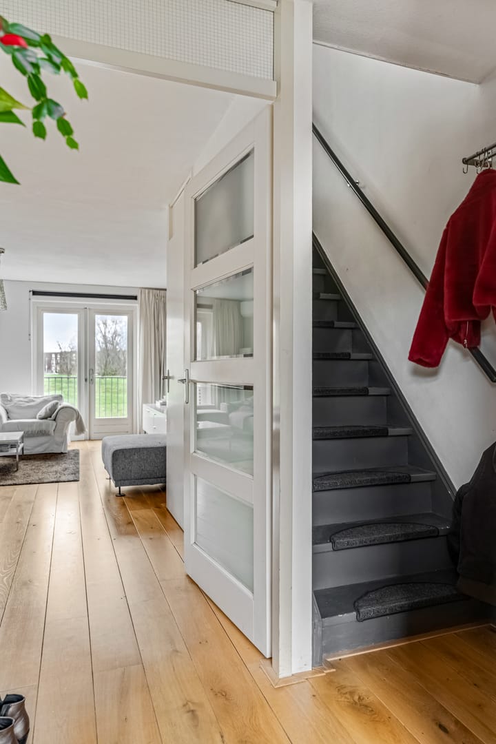 Foto 5 van Donsvlinder 55