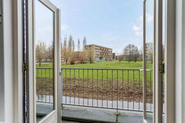 Foto 8 van Donsvlinder 55