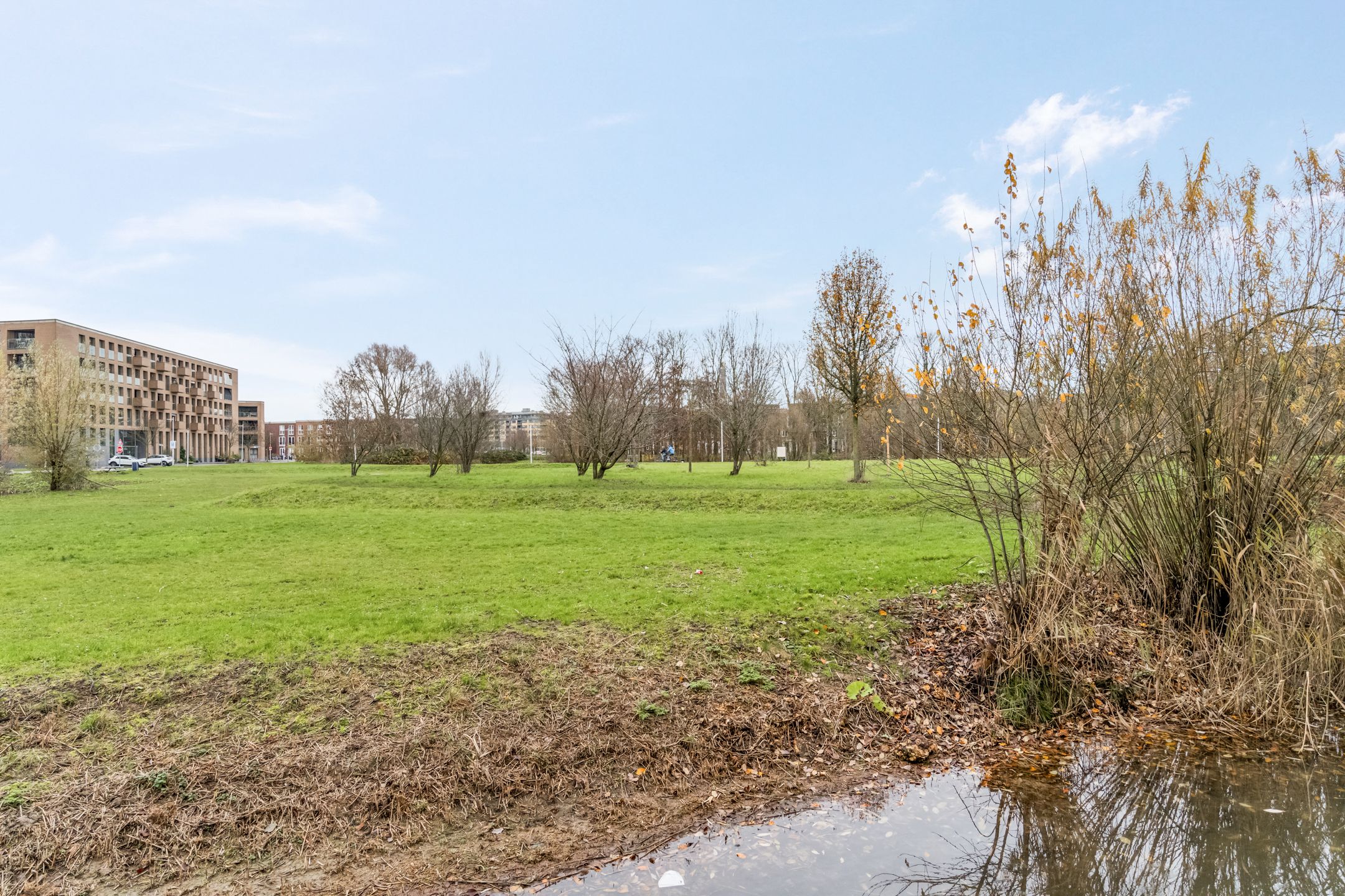 Photo 9 of Donsvlinder 55