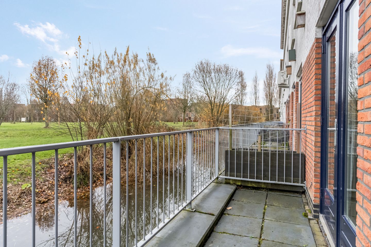 Photo 10 of Donsvlinder 55