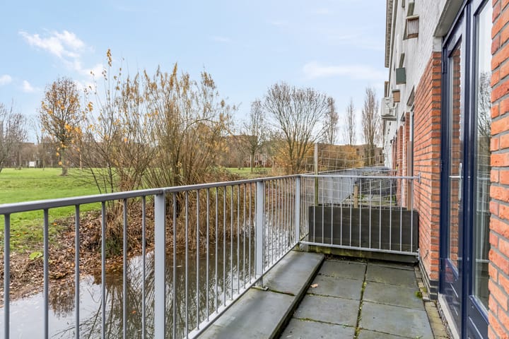 Foto 10 van Donsvlinder 55