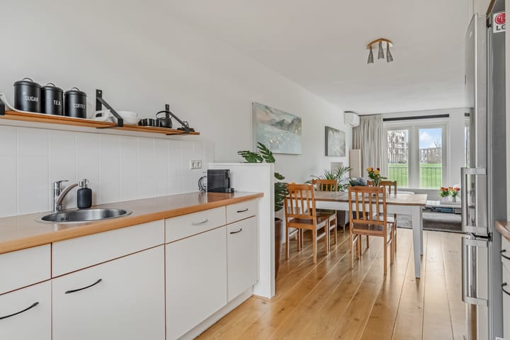 Foto 19 van Donsvlinder 55