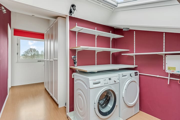 Foto 34 van Donsvlinder 55