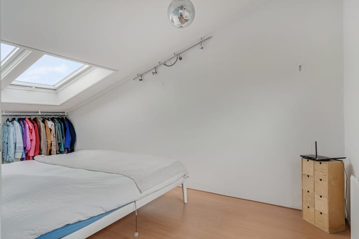 Foto 35 van Donsvlinder 55