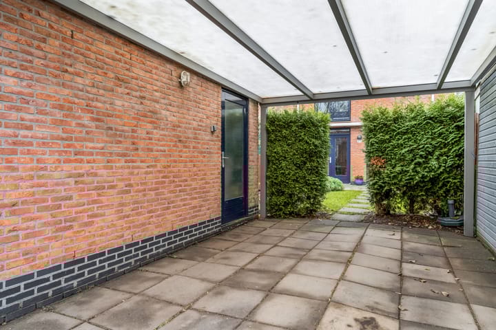 Foto 40 van Donsvlinder 55