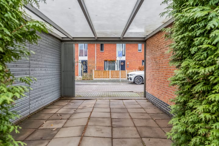 Foto 45 van Donsvlinder 55