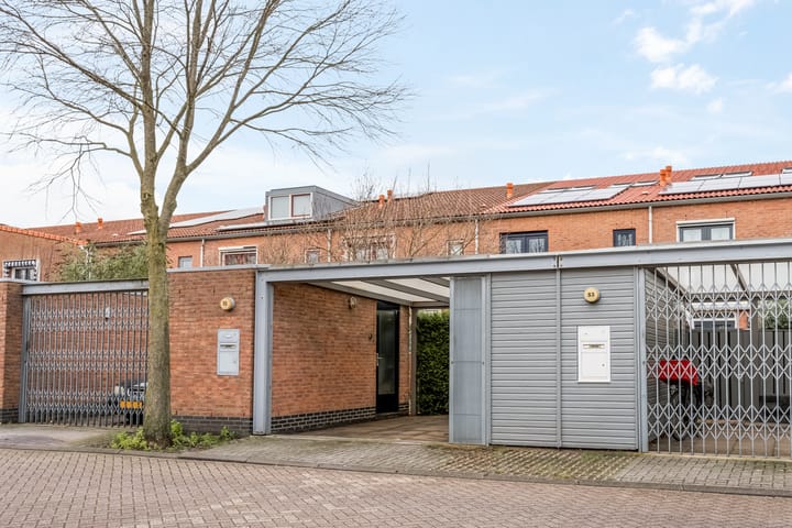 Foto 46 van Donsvlinder 55