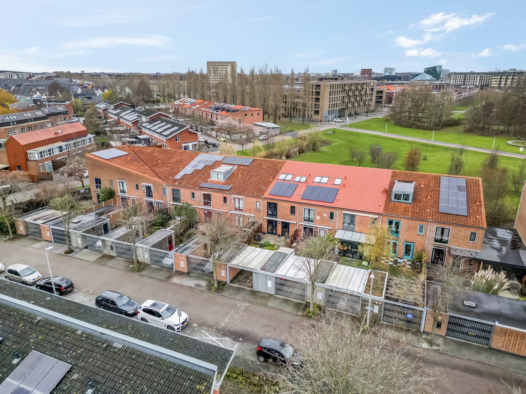 Photo 47 of Donsvlinder 55