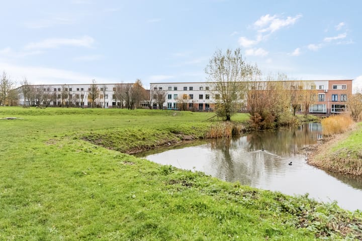 Foto 50 van Donsvlinder 55