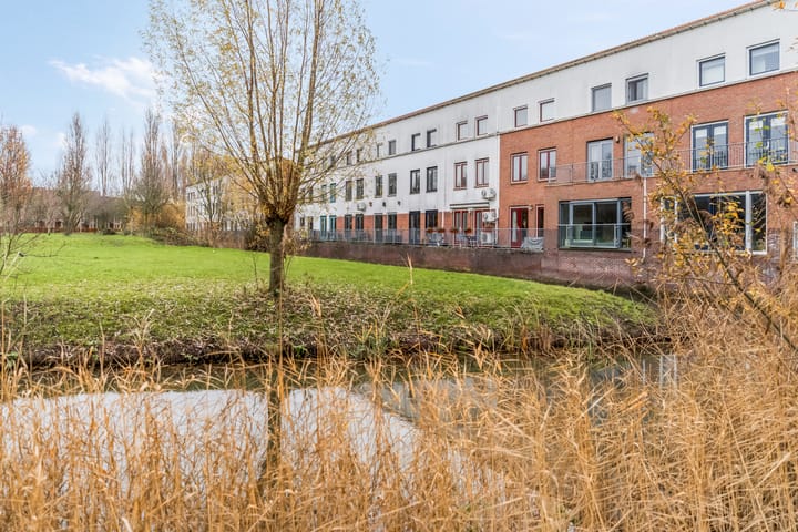 Foto 53 van Donsvlinder 55