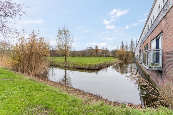 Foto 54 van Donsvlinder 55