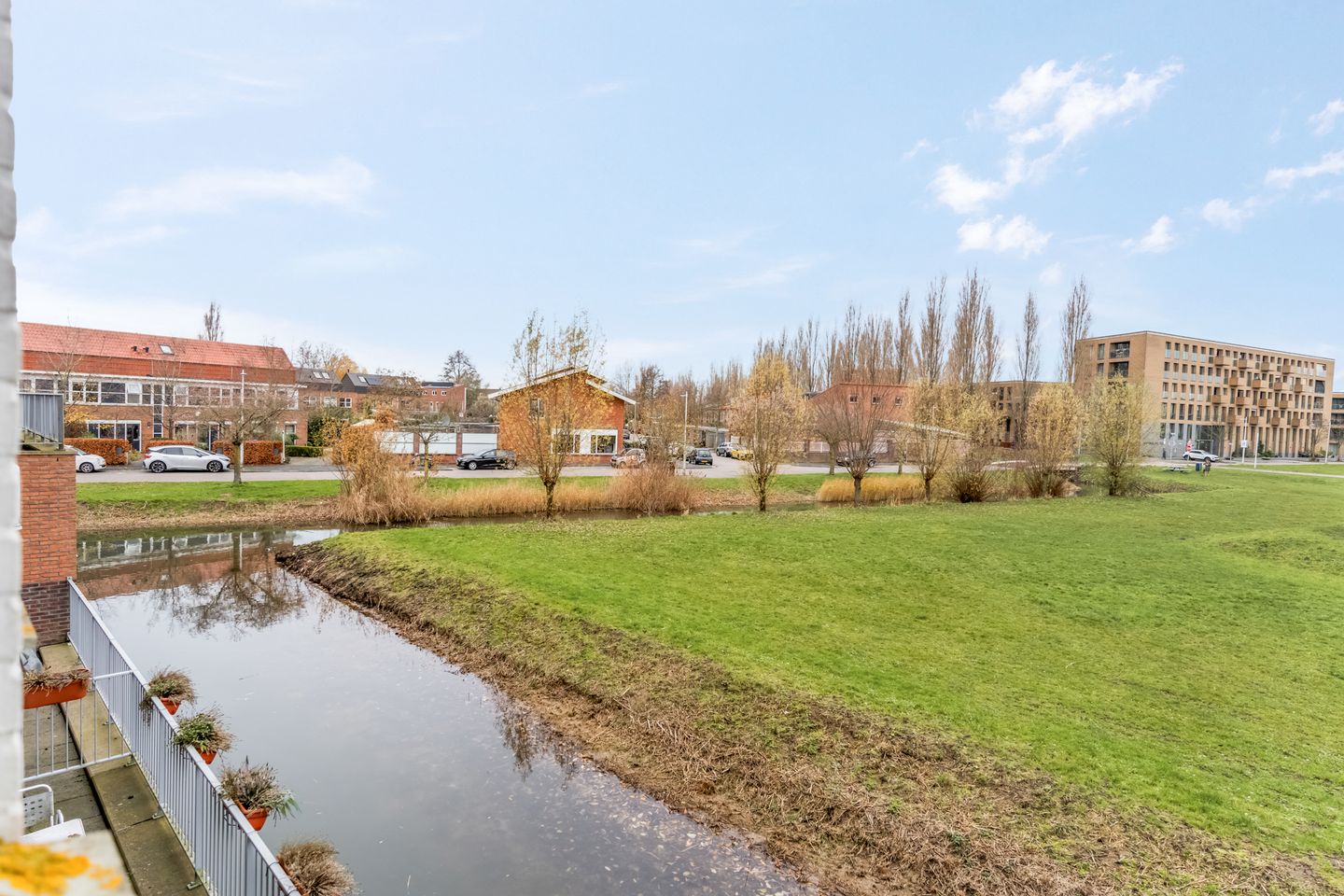 Photo 55 of Donsvlinder 55