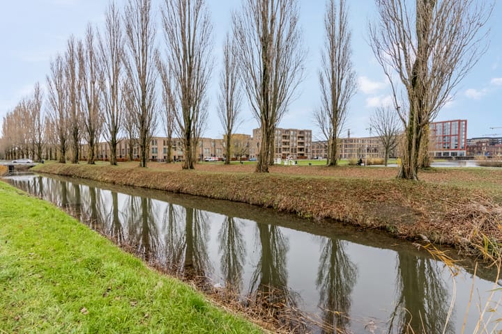 Foto 56 van Donsvlinder 55