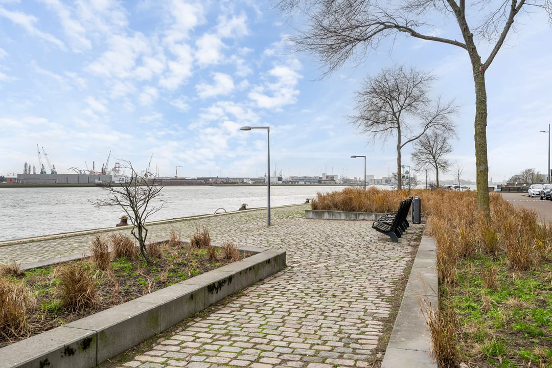 Foto 23 van Loods Holland 21