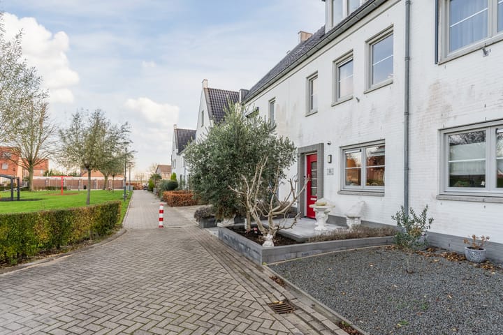 Foto 6 van Wilgenpad 8