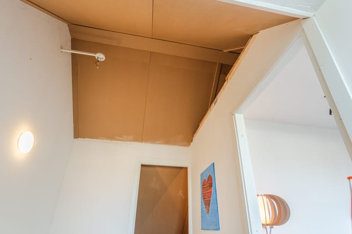 Foto 39 van Wilgenpad 8