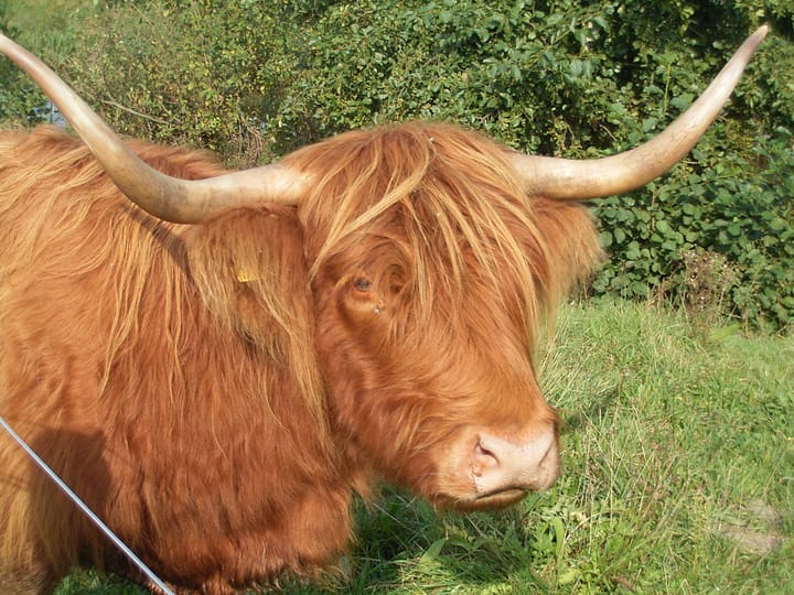 Photo 43 of Varsseveldstraat 17