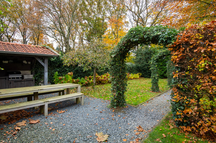 Photo 27 of Hakschaer 6