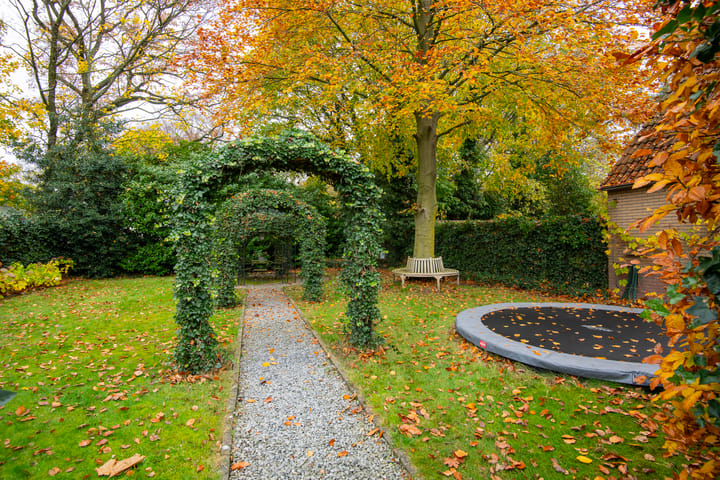 Photo 28 of Hakschaer 6